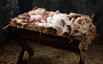 A Divindade envolta em Ternura